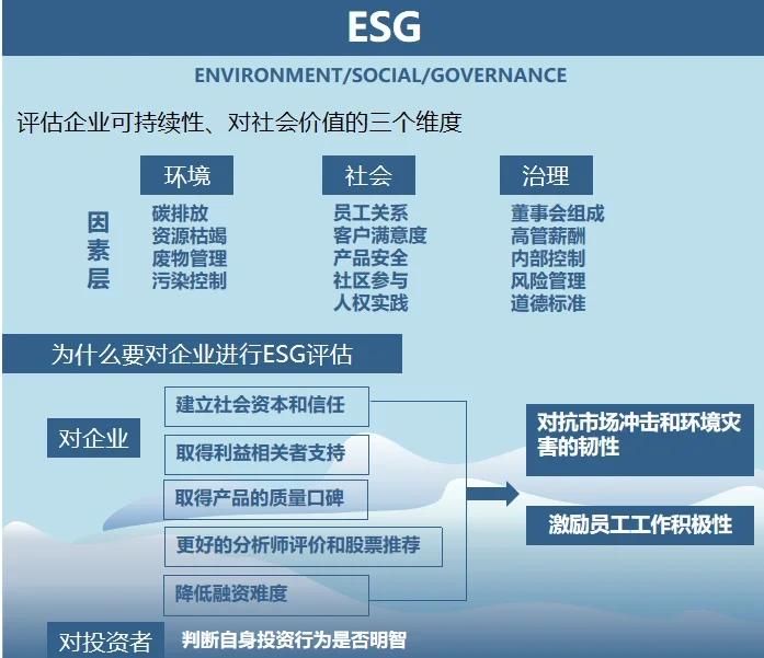 双碳战略咨询服务(双碳战略是什么意思)宁波市