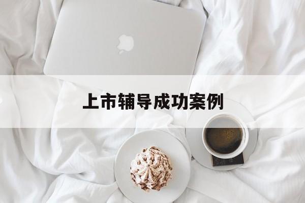 上市辅导成功案例(上市辅导成功后肯定会上市吗)宁波市