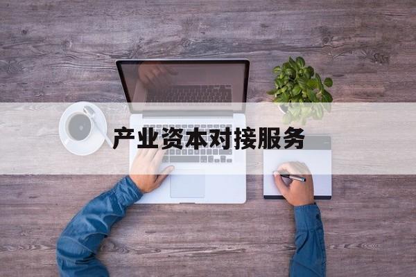 产业资本对接服务(产业资本对接服务包括哪些)宁波市